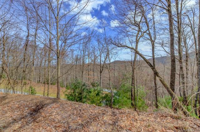 0 Mills River Way - Photo 1