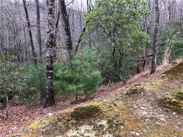 285 Shining Rock Path - Photo 1