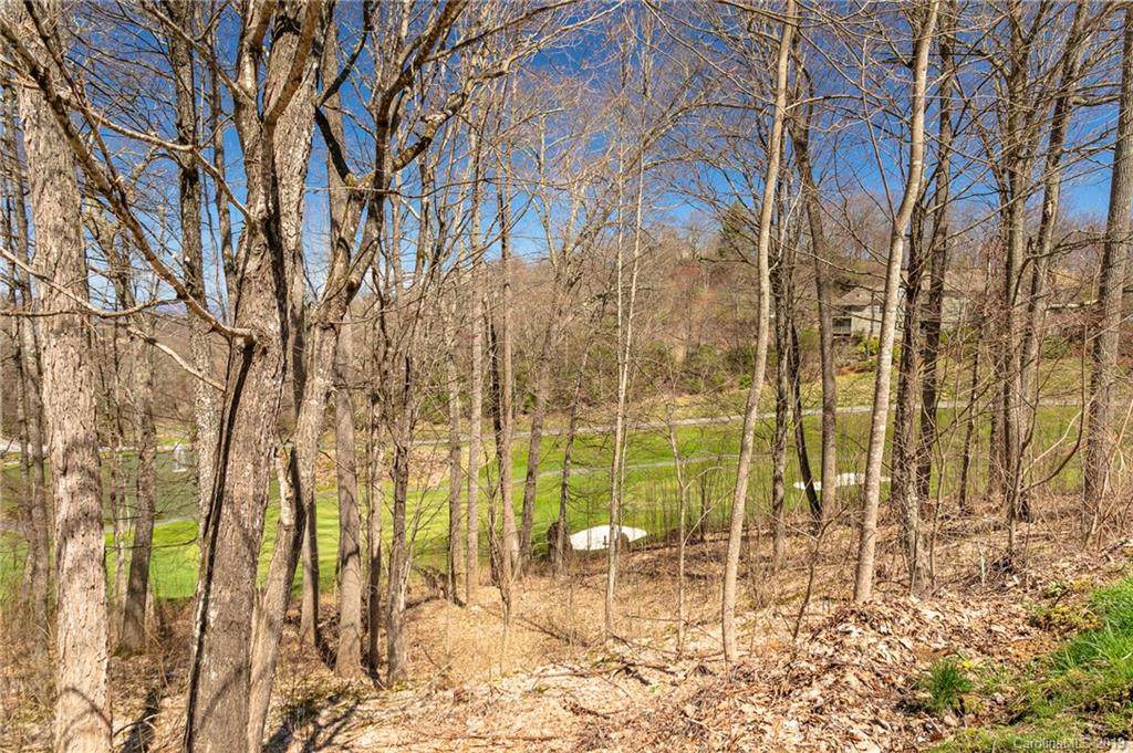 Lot 85 Apple Brandy Way - Photo 1