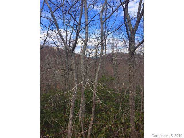 Lot 81 Arcadia Falls Way - Photo 1