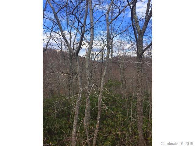 Lot 81 Arcadia Falls Way - Photo 1