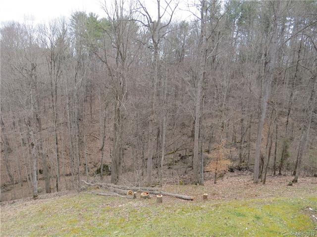 Lot 28 Graceway Road - Photo 1