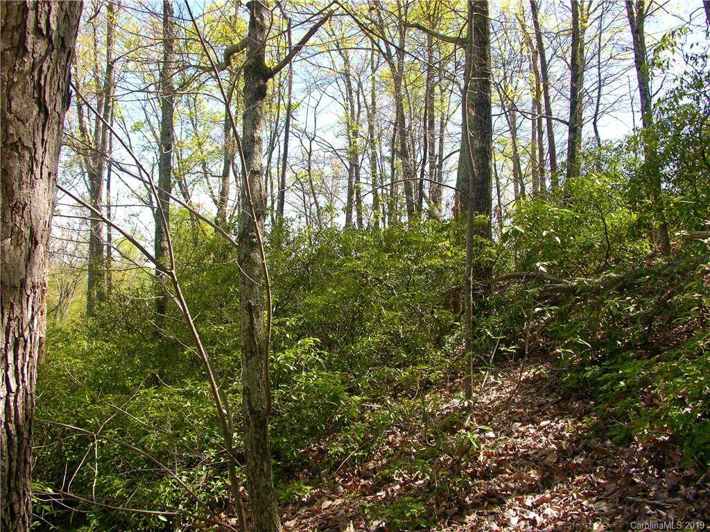 55 Bear Cliff Way - Photo 1