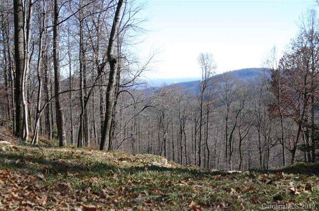 21 High Cliffs Trail - Photo 1
