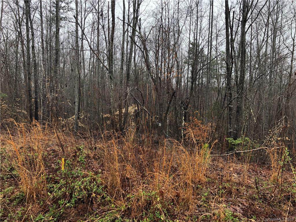 0 Freeman Road - Photo 1