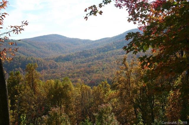20 High Cliffs Trail - Photo 1