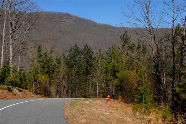 00 Deep Gap Farm Road - Photo 1