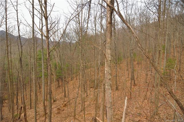 000 Anderson Cove Road - Photo 1