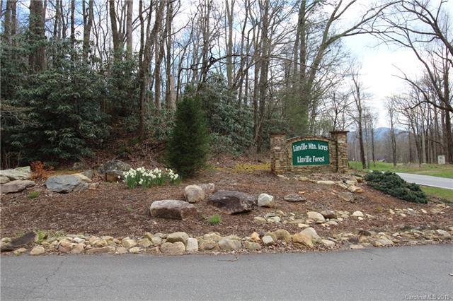 Lot #2 Linville Drive - Photo 1