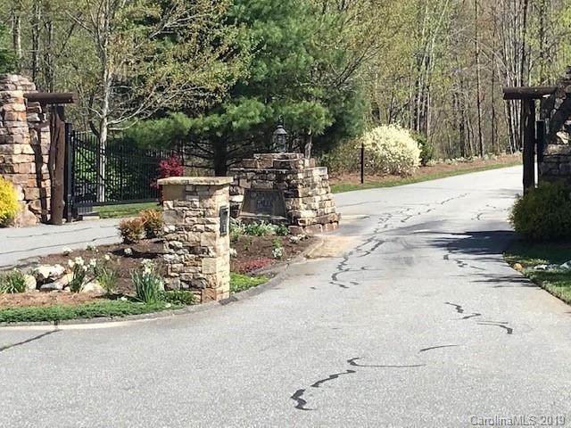 Lot 92 Catawba Falls Preserve Road - Photo 1