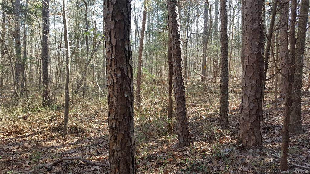 00 Sandy Ridge Road - Photo 1