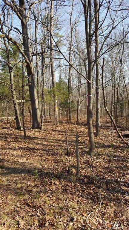 00 Sandy Ridge Road - Photo 1