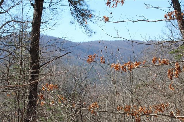 242 Black Bear Ridge Trail - Photo 1
