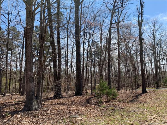 29 Longbranch Road - Photo 1