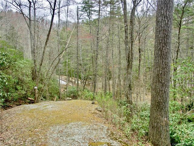 TBD Toxaway Falls Drive - Photo 1