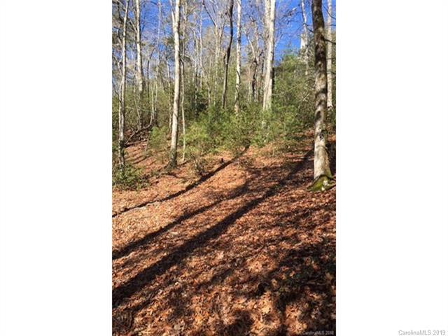 Lot 11 Trailside Court - Photo 1