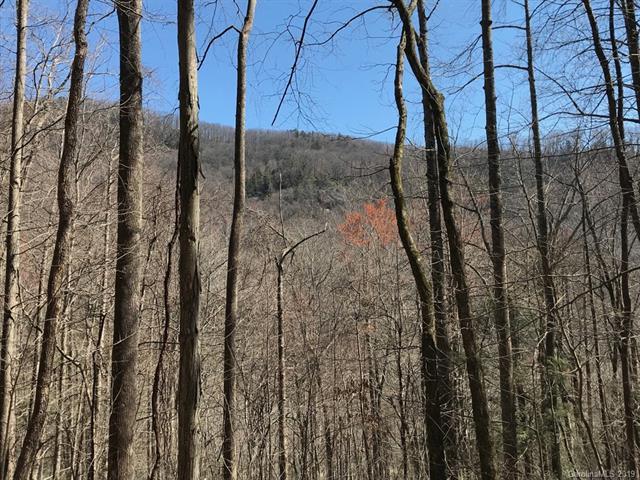 99999 Grant Mountain Road - Photo 1