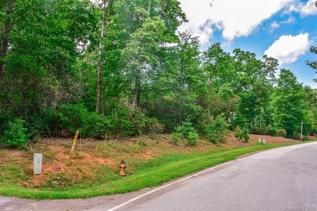 1912 White Tree Trail - Photo 1