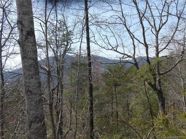 Lot 27 Linville Drive - Photo 1