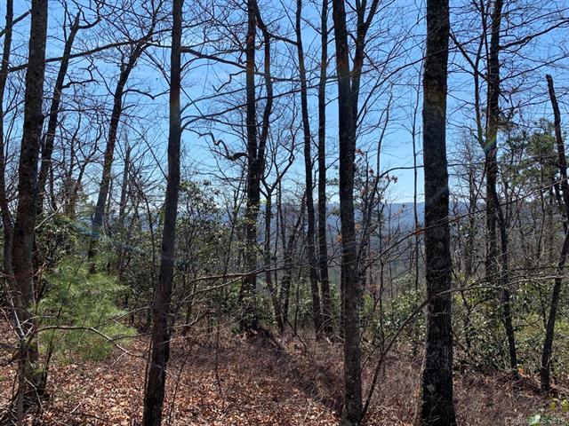 TBD Turkey Pen Lane - Photo 1