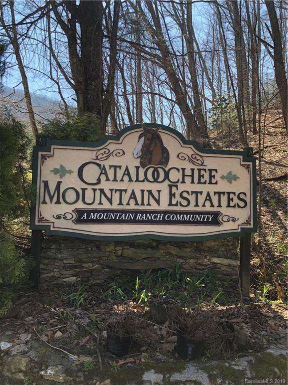 516 Curry Comb Trail - Photo 1