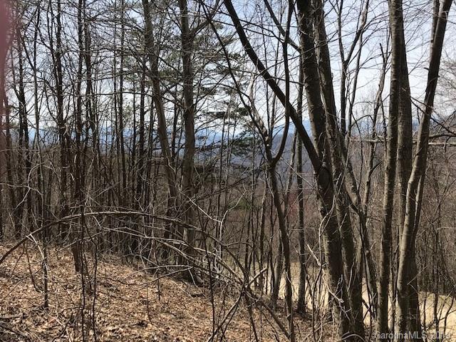TBD Hunters Ridge Road - Photo 1