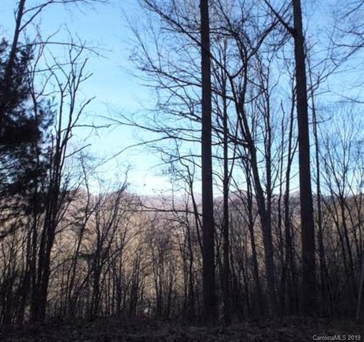 00 Nicholson Cove Road - Photo 1