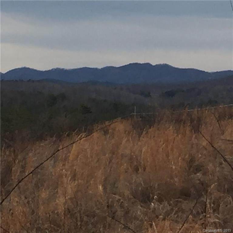 2540 Vein Mountain Road - Photo 1