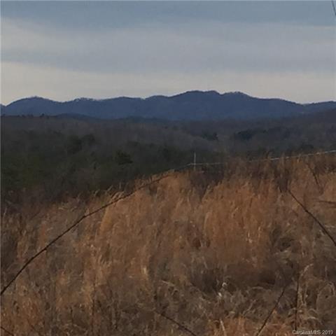 2540 Vein Mountain Road - Photo 1