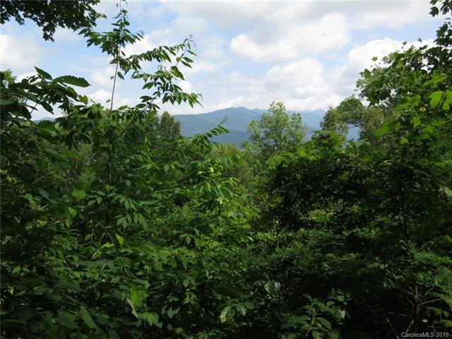 000 Wildflower Cove Road - Photo 1