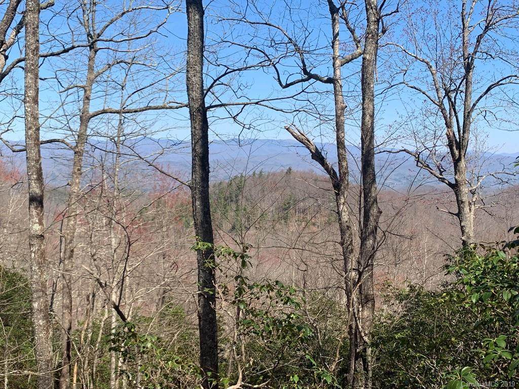 TBD Whitetail Trail - Photo 1