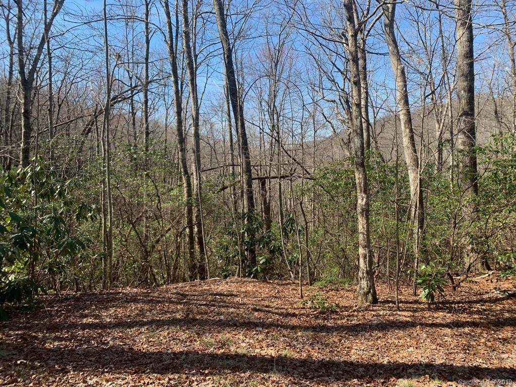 TBD Hummingbird Hollow - Photo 1