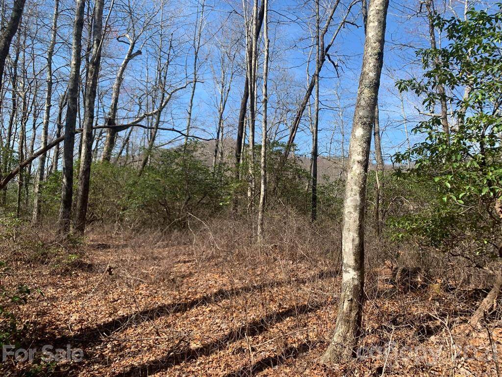 TBD Hummingbird Hollow - Photo 1