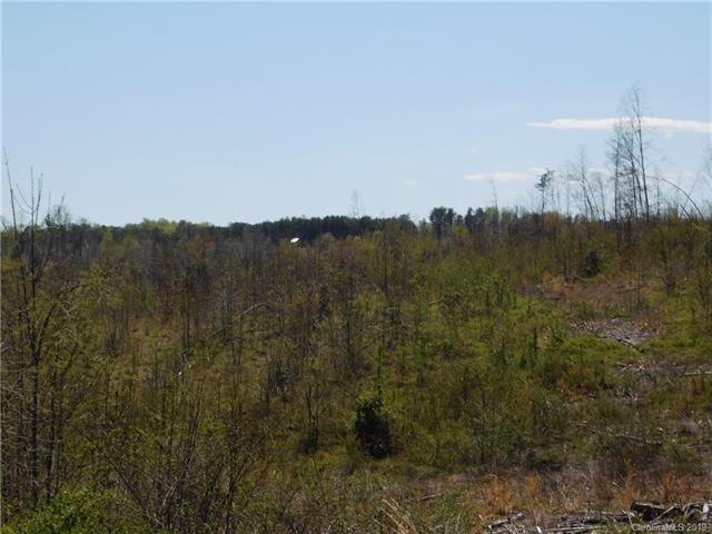0 Piney Knob Road - Photo 1