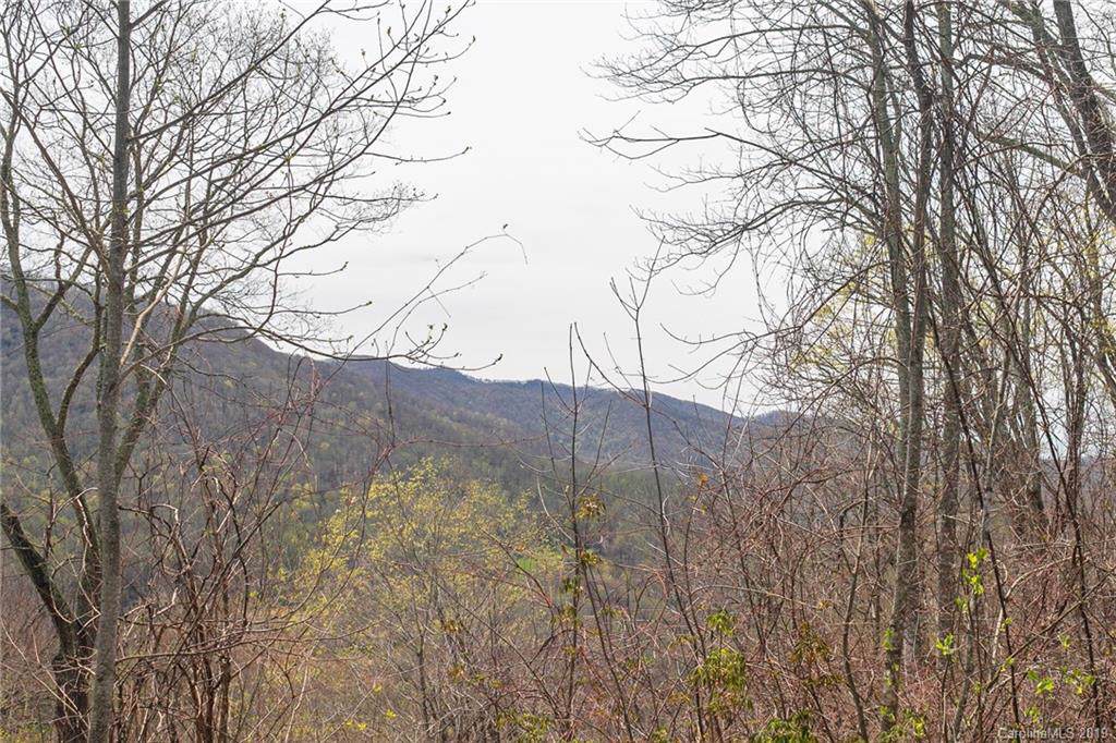 Lot 12 Austin Mountain Drive - Photo 1