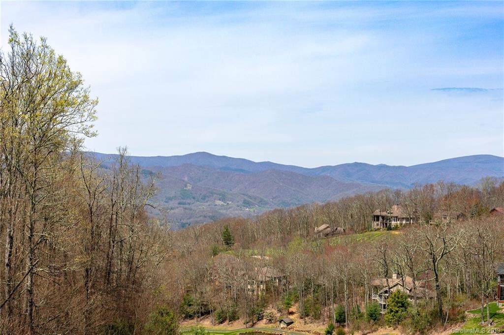 Lot 81 Ball Camp Road - Photo 1