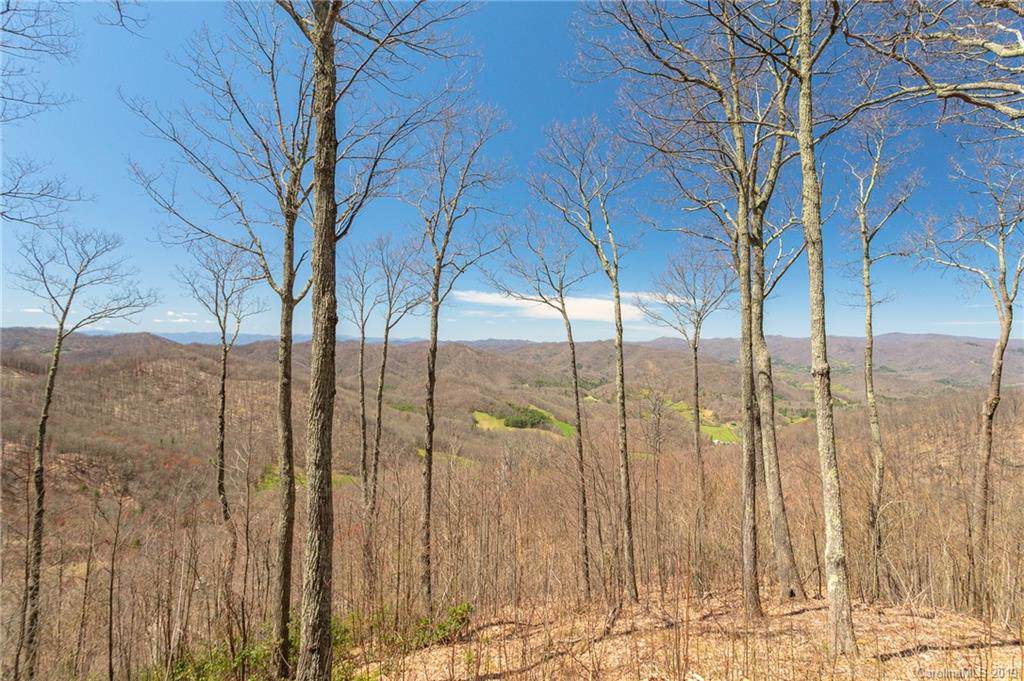 Lot 13 Starry Woods Lane - Photo 1