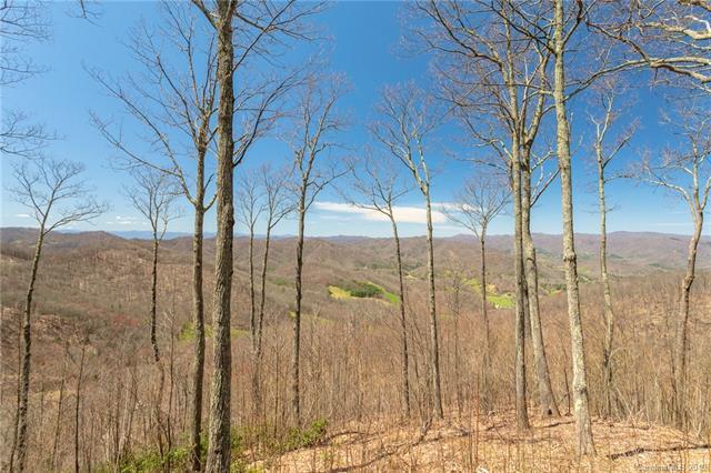 Lot 13 Starry Woods Lane - Photo 1