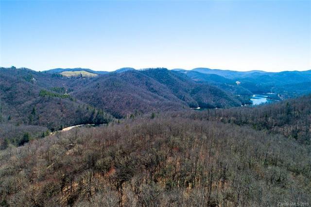 Lot #8 Forest View Lane - Photo 1