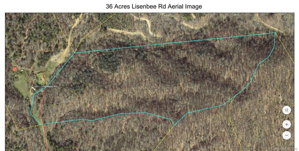 000 Lisenbee Road - Photo 1