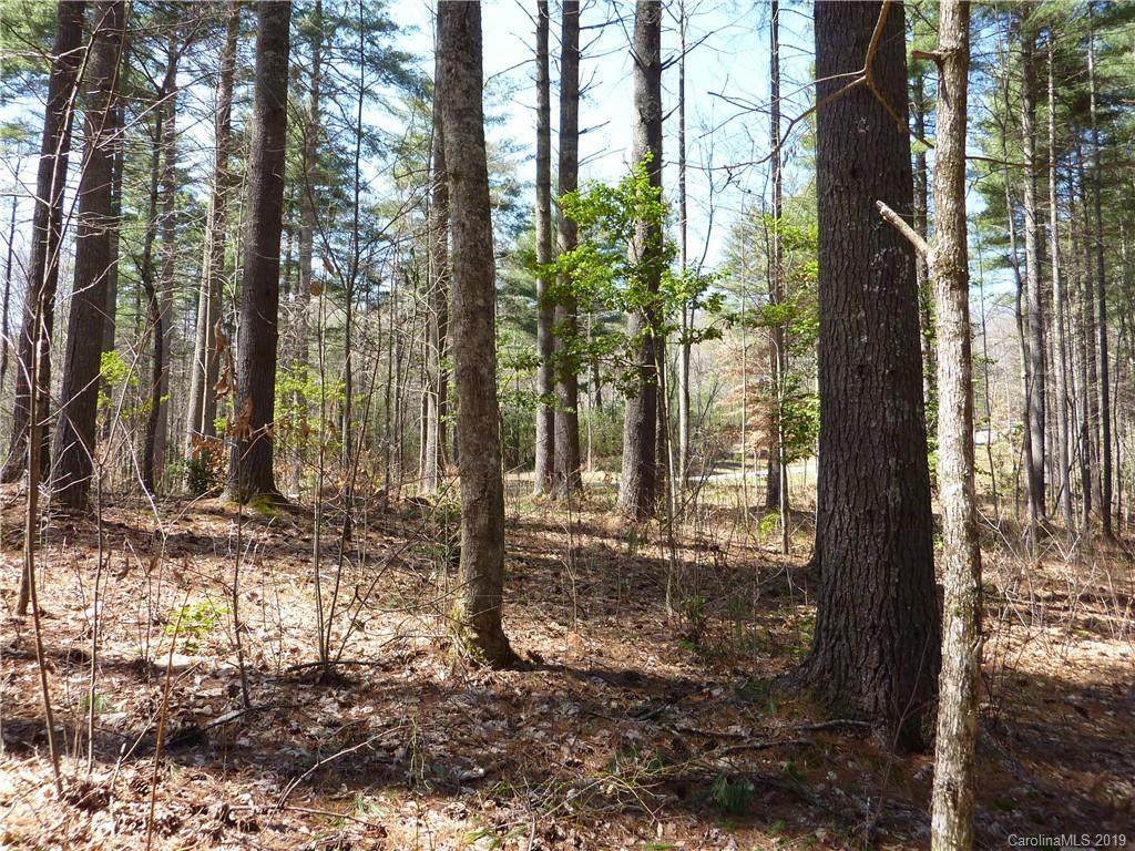 41 Mountain Brook Trail - Photo 1