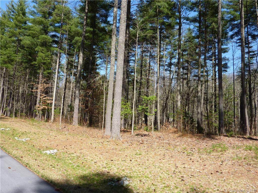 41 Mountain Brook Trail - Photo 1