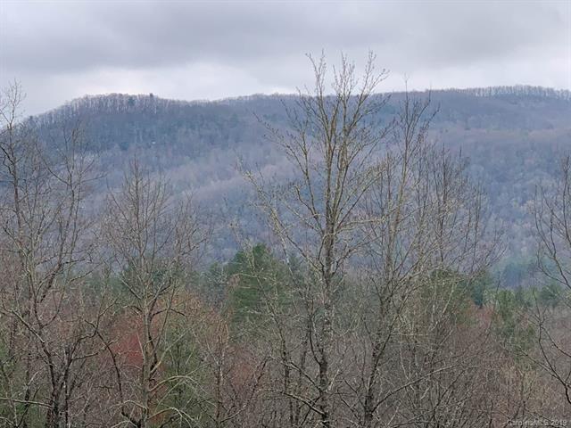 3851 East Fork Road - Photo 1