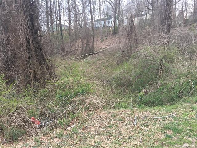 Lot 13 Fayetteville Avenue - Photo 1