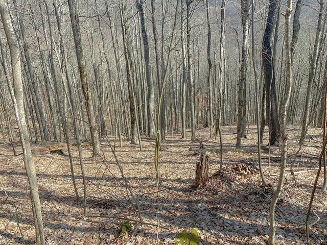 00 Chimney Ridge Trail - Photo 1