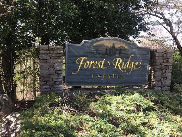 Lot 6 Forest Ridge Drive - Photo 1