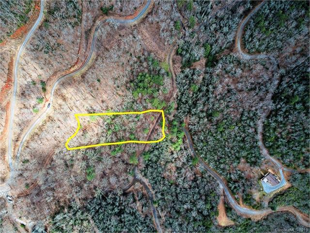 00 Rhoda Creek Falls Drive - Photo 1