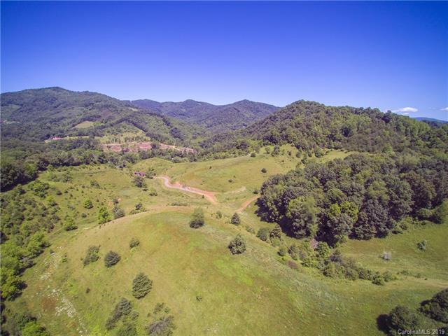 Tract 2 Langford Branch Road - Photo 1