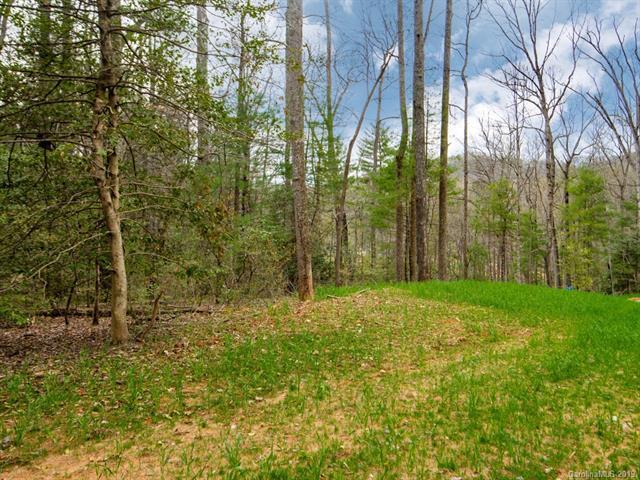35 Wandering Oaks Way - Photo 1