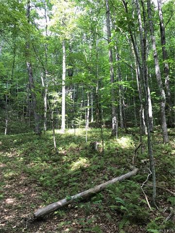 Lot 21 Barts Branch Drive - Photo 1
